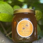Raw Honey (Cold Pressed)